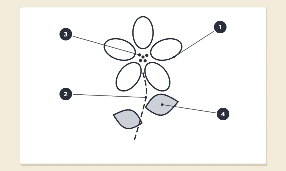 Flower pattern with numbered callouts 1 to 4 pointing to a solid petal outline, a dashed stem line, dots in the flower center and a shaded leaf area