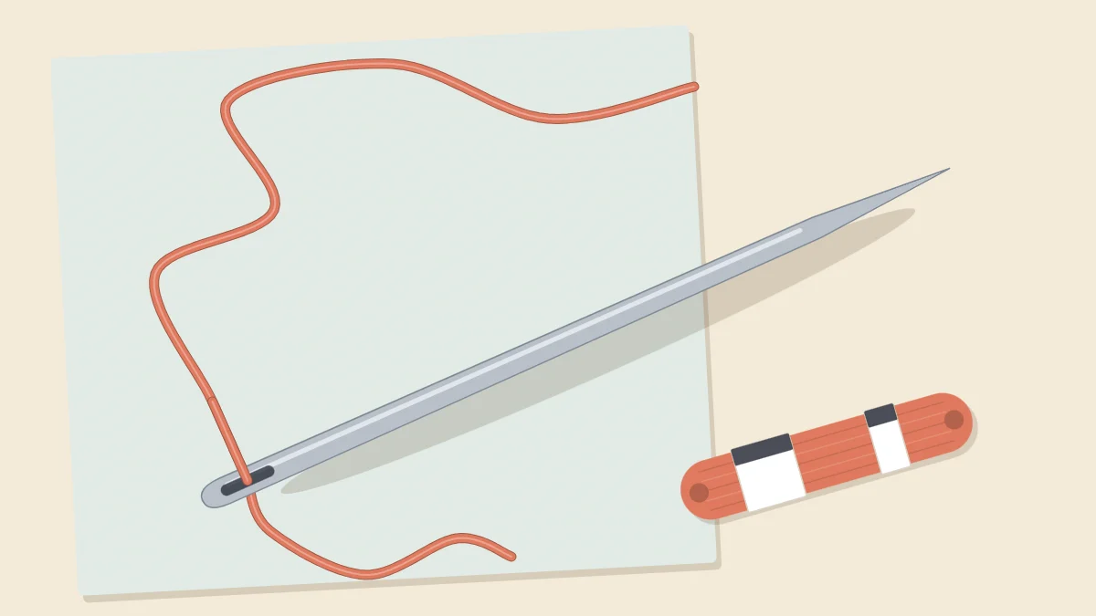 Large embroidery needle lying diagonally with coral thread through its long eye and a floss skein beside it