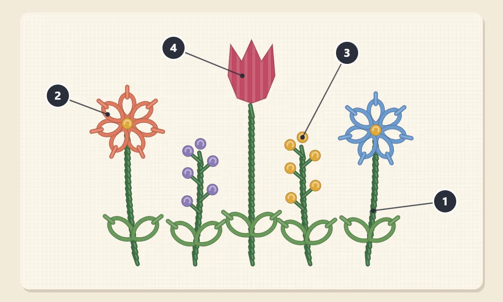 Stitch map of the flower design with numbered callouts: 1 stem stitch for stems, 2 lazy daisy for petals and leaves, 3 French knots for flower centers and buds, 4 satin stitch for the tulip head